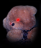 Teddy Bear